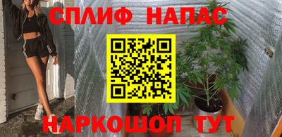 крисы Будённовск