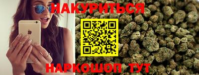крисы Будённовск