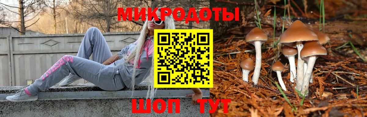 Псилоцибиновые грибы мицелий  Вход с VPN  Петропавловск-Камчатский  купить наркотик  Галлюциногенные грибы GOLDEN TEACHER 