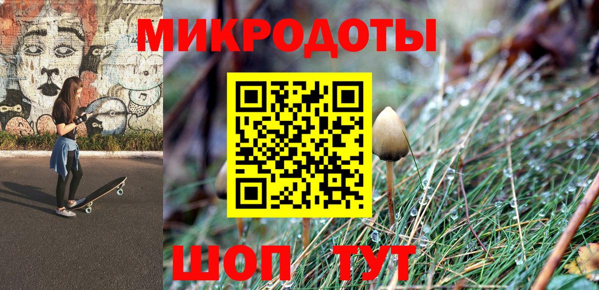Галлюциногенные грибы Psilocybine cubensis Петропавловск-Камчатский